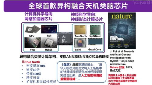 從類腦計(jì)算到機(jī)器學(xué)習(xí) 四大知名AI教授線上分享干貨，引領(lǐng)計(jì)算機(jī)軟硬件開(kāi)發(fā)新趨勢(shì)