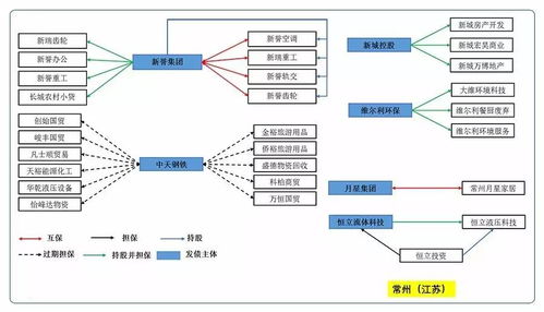 各地民企擔(dān)保網(wǎng)絡(luò)大圖譜及對(duì)比分析結(jié)果 信用策略專題——計(jì)算機(jī)軟硬件的開(kāi)發(fā)及應(yīng)用